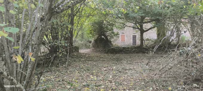 Terrain envahi par la végétation en cours de remise en état devant une bâtisse en pierre