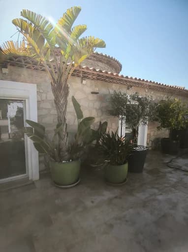 Terrasse plantée de palmiers en pots contre un mur en pierre