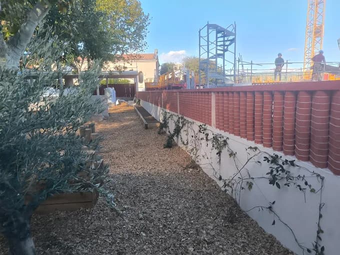 Allée paillée et oliviers le long d'un mur, chantier d'aménagement