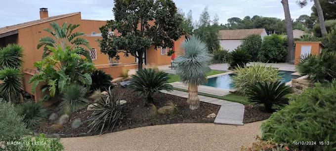 Jardin méditerranéen avec palmiers, yuccas et piscine créé par Cyrus Paysage