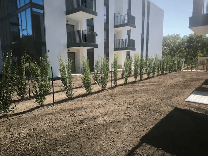 Plantation d'une haie le long d'une résidence à La Valette-du-Var